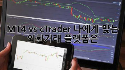 MT4 vs cTrader: 나에게 맞는 외환거래 플랫폼은?